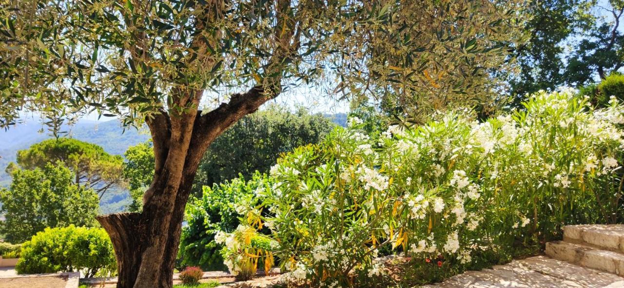 Loup Castel Boutique Hotel B&B Le Bar-sur-Loup Экстерьер фото
